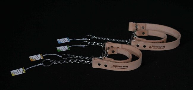 Companions for life alternative training collar