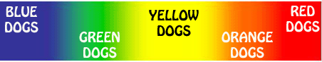 what color is your dog?
