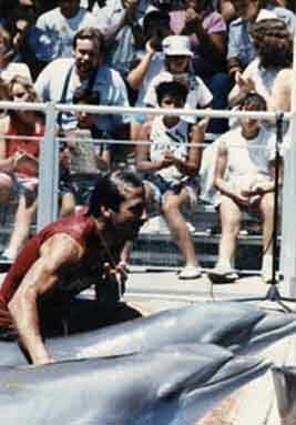 joel silverman training dolphins
