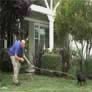 Train your dog to come