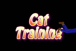 cat training with joel silverman