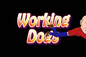 working dogs and joel silverman