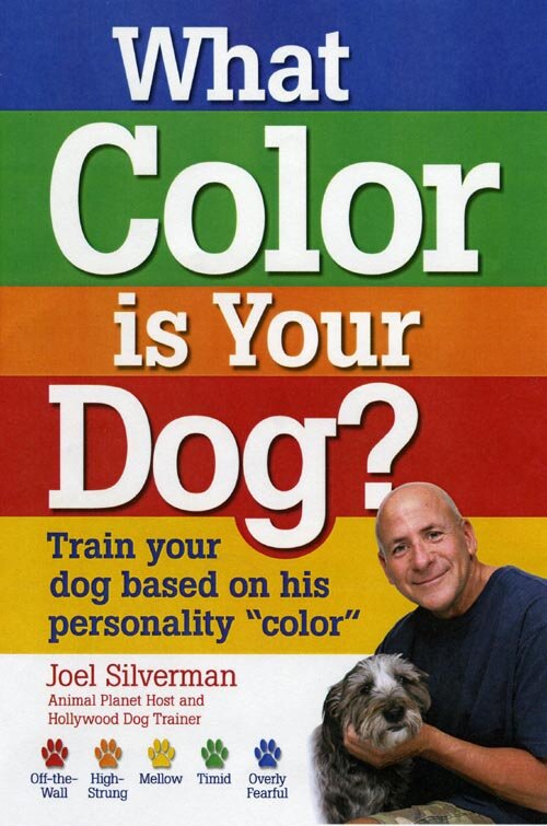 what color is your dog?