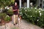 Teach your dog to heel online