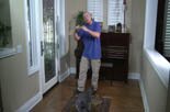 teaching your dog to heel
