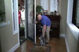 teaching your dog to heel