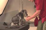 joel teaches all dogs to retrieve