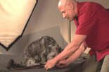 joel teaches all dogs to retrieve