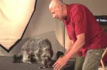 joel teaches all dogs to retrieve