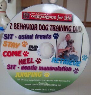 joel silvermans 7 behavior dog training dvd