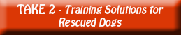 take 2 training solutions to rescued dogs